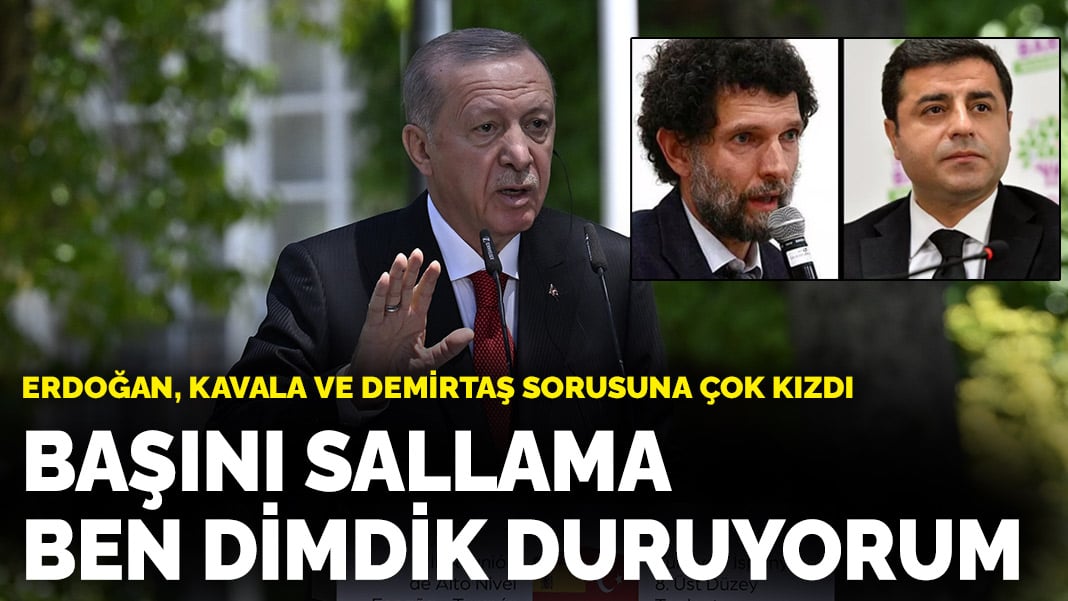 Erdoğan, Kavala ve Demirtaş sorusuna çok kızdı: Başını sallama, ben dimdik duruyorum