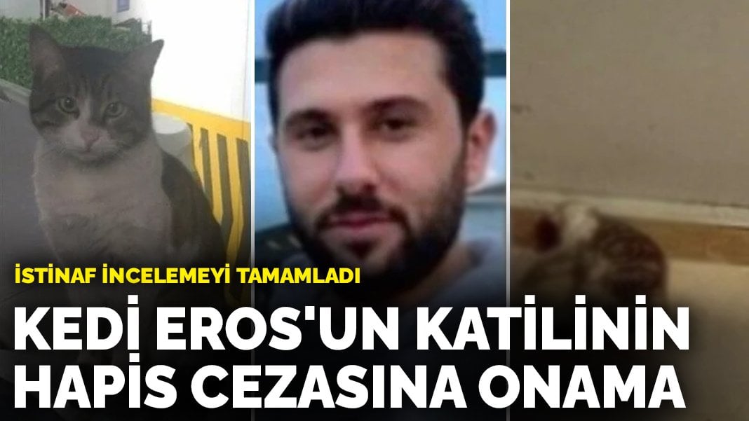 İstinaf incelemeyi tamamladı: Kedi Eros’un katilinin hapis cezasına onama