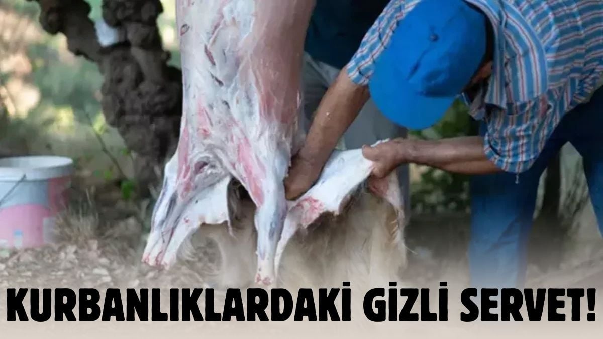 Kurbanların o kısmını sakın atmayın, servet yatıyor! Yetkililer saklayın dedi ve uyardı: 30 milyar lira…