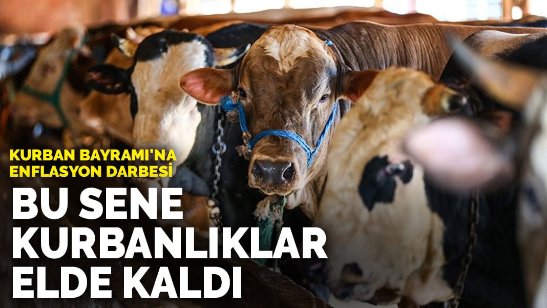 Kurban Bayramı’na enflasyon darbesi: Bu sene kurbanlıklar elde kaldı