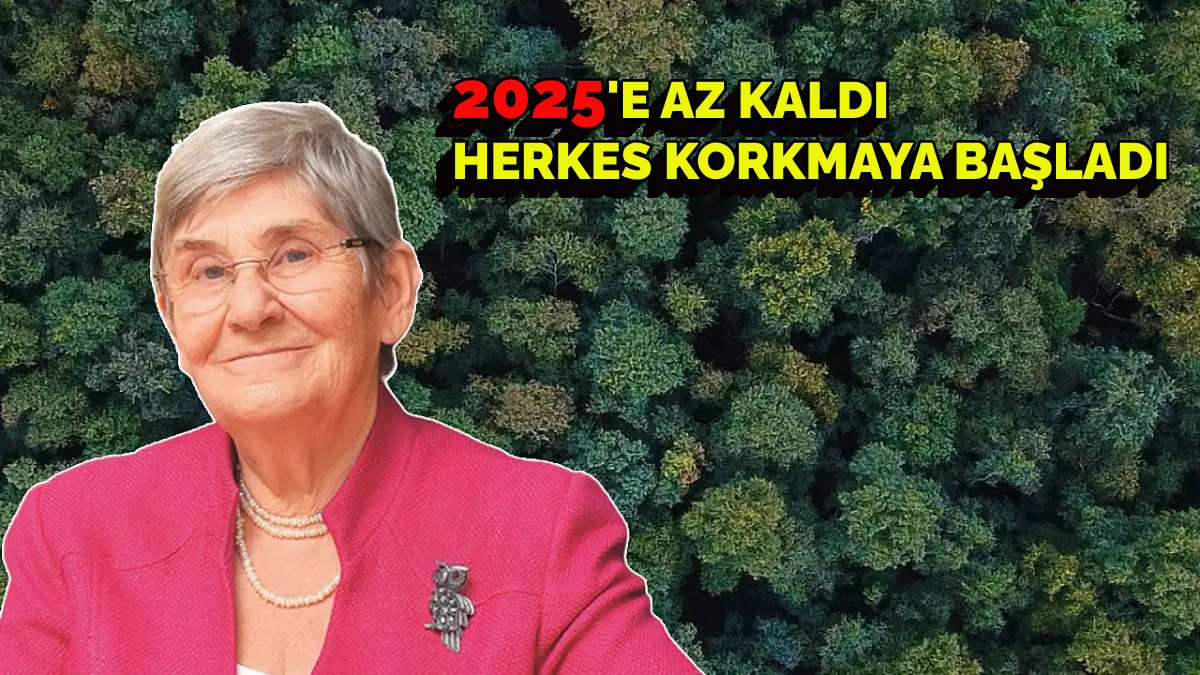 Her dediği çıkıyor, bu da olursa felaket kapıda! Canan Karatay ‘2025’ dedi, herkes tir tir titredi