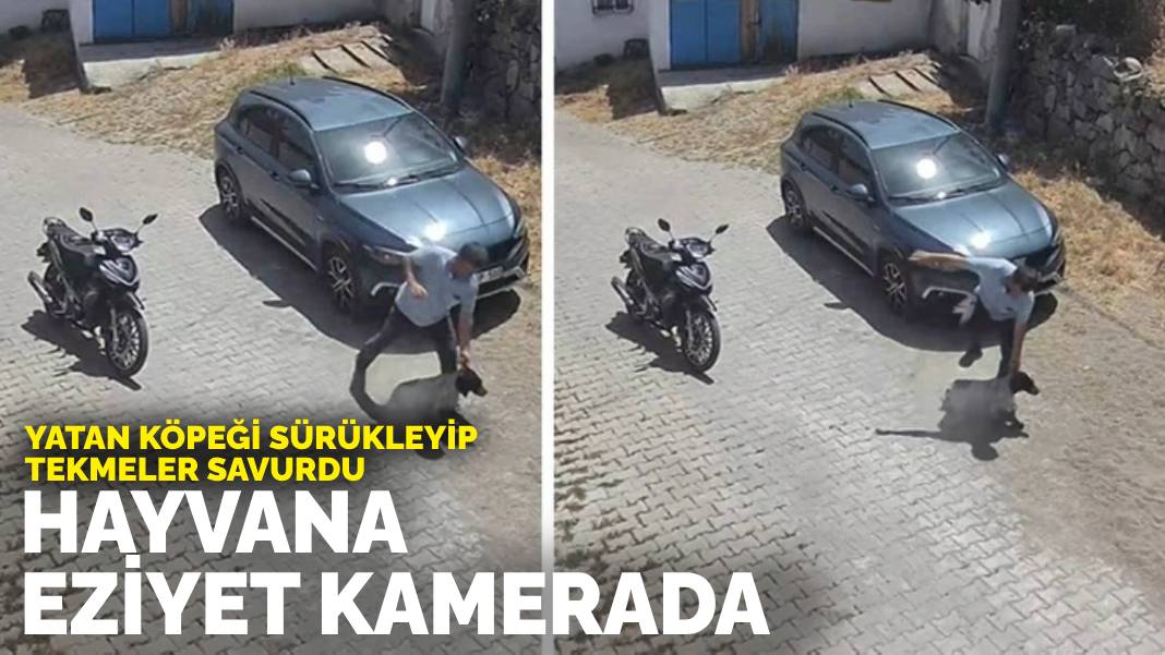 Balıkesir’de hayvana eziyet kamerada! Yatan köpeği sürükleyip tekmeler savurdu