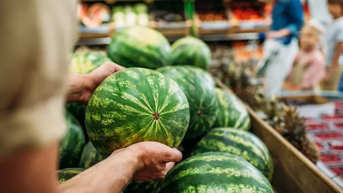 Yalnızca usta çiftçiler biliyordu, artık herkes bilecek! Karpuz seçmenin 4 püf noktası