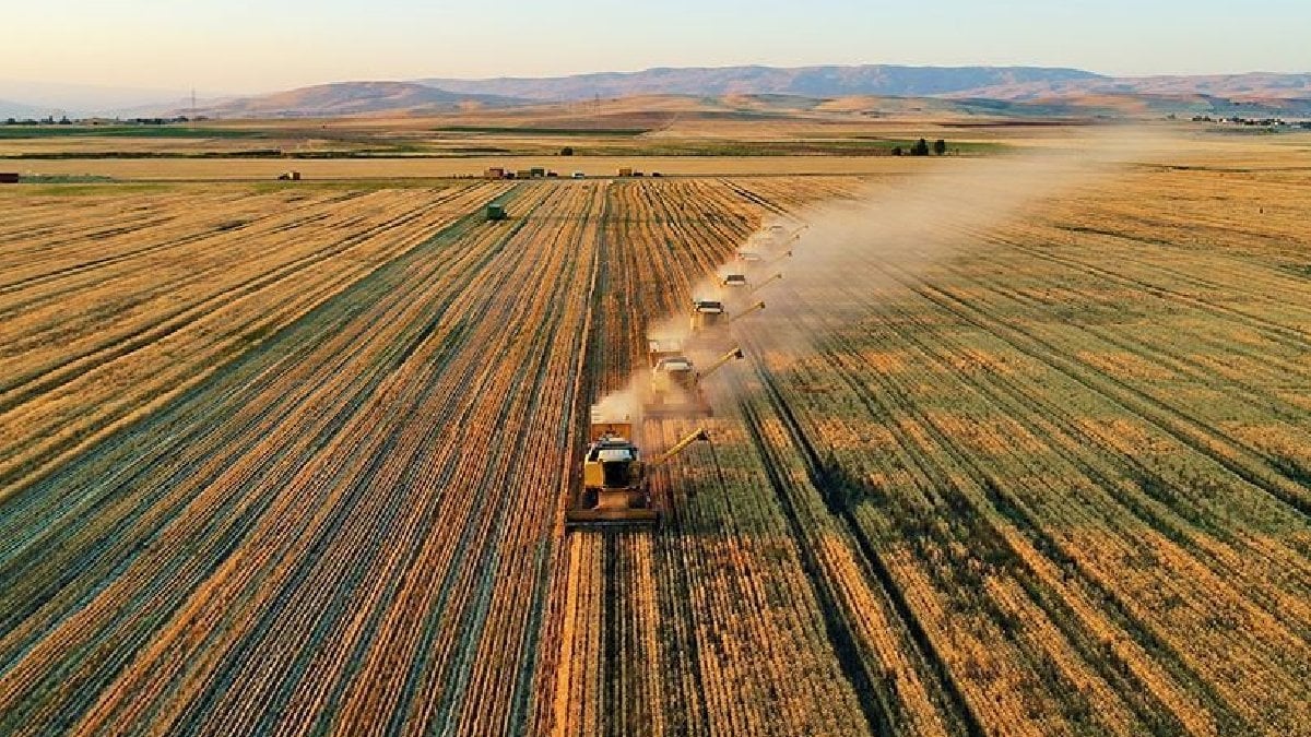 Türkiye’nin toplam arazi miktarı 23,9 milyon hektara geriledi