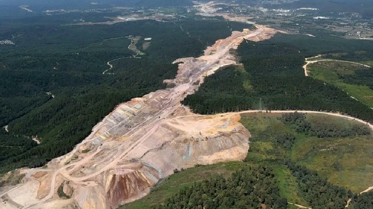 TEMA Vakfı’ndan çölleşme ve kuraklık uyarısı: Tükiye’de 9 yıl içinde 410 bin hektar orman alanı kaybedildi