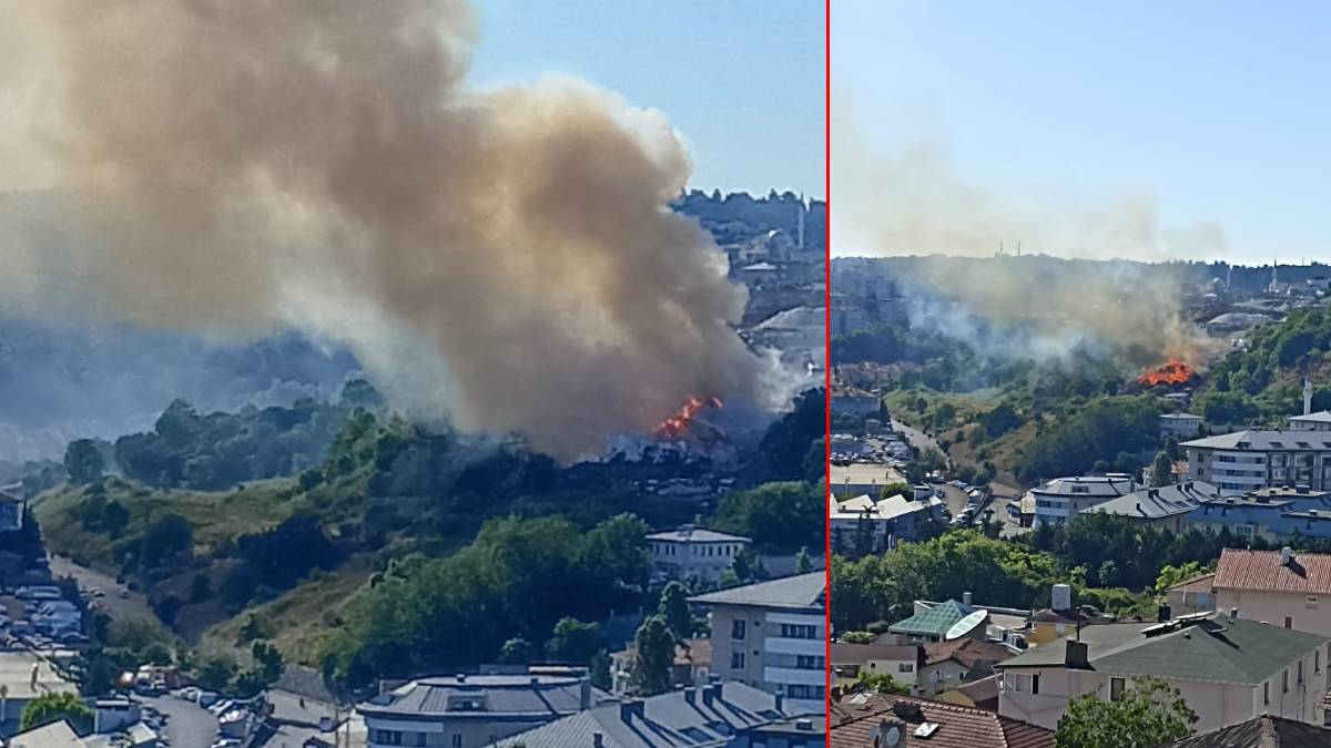 Sarıyer’de orman yangını