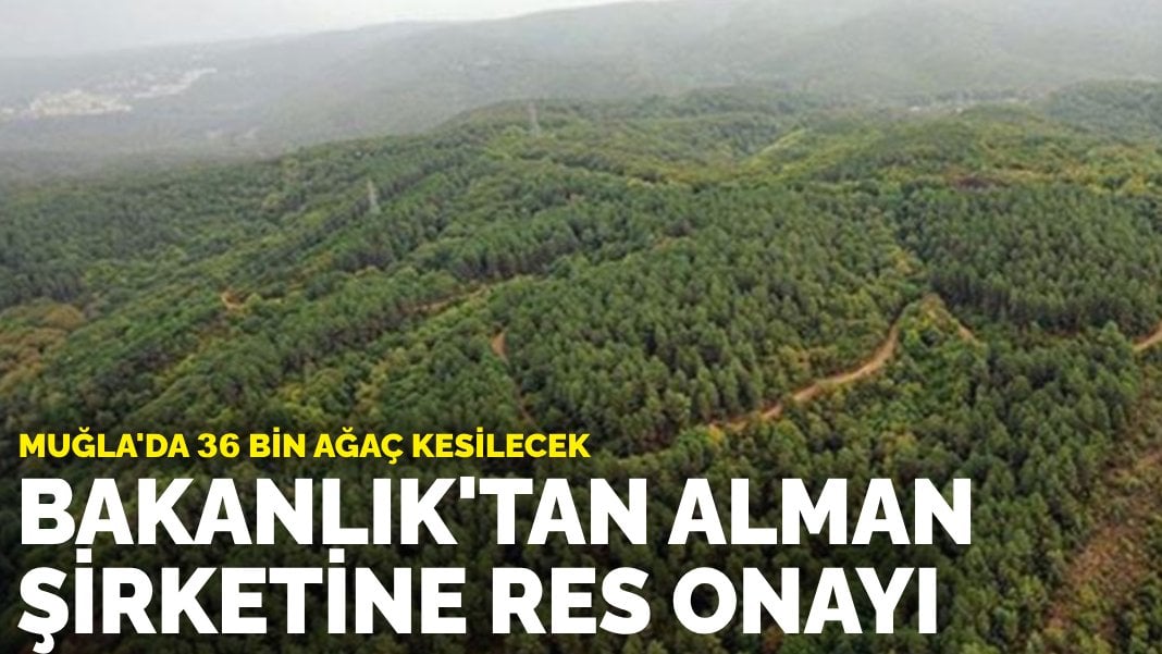 Bakanlık’tan Alman şirketin RES projelerine onay: Muğla’da 36 bin ağaç kesilecek