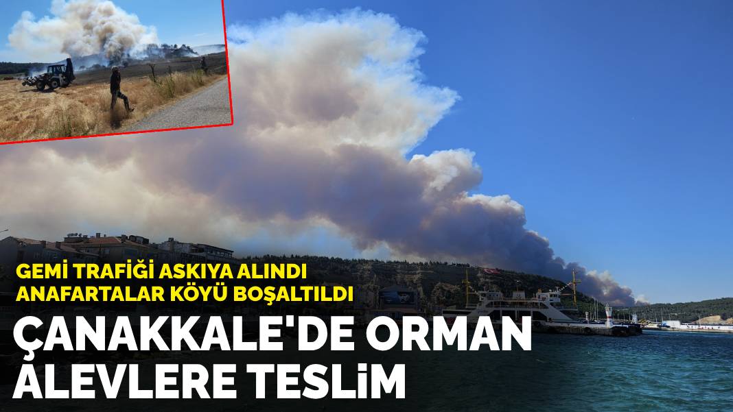 Çanakkale’de orman alevlere teslim! Gemi trafiği askıya alındı, köy boşaltıldı