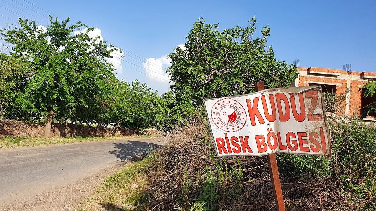 Niğde’de kuduz paniği: Bir mahalle karantinada