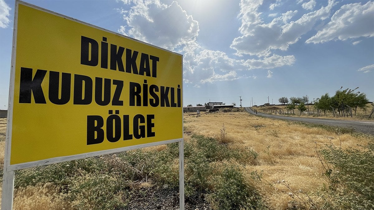 Şanlıurfa’da kuduz karantinası! 10 gün boyunca giriş çıkış yasak