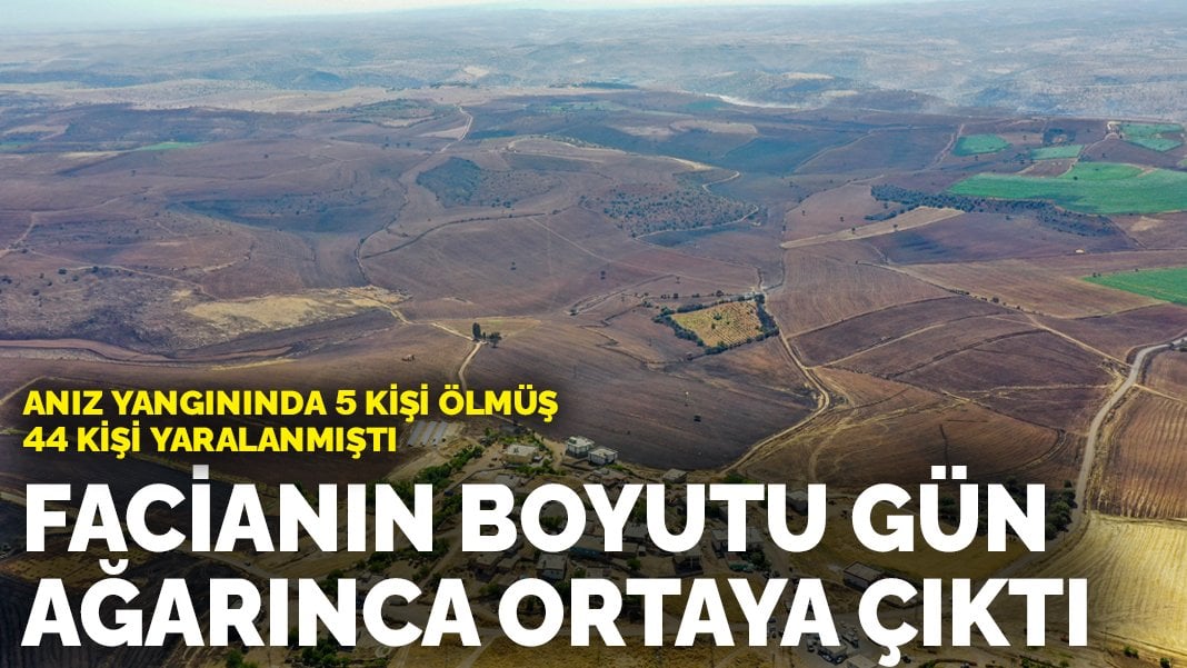 Anız yangınında 5 kişi ölmüş, 44 kişi yaralanmıştı: Facianın boyutu gün ağarınca ortaya çıktı