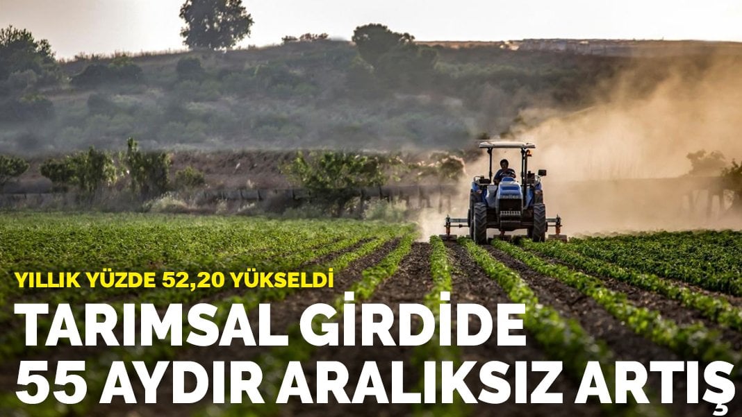 Tarımsal girdide 55 aydır aralıksız yükseliş