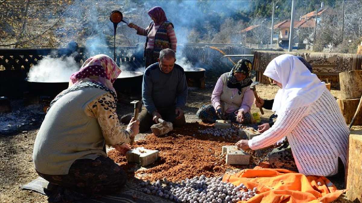 Torosların el değmemiş ürünleri… Gece 3’te işe koyuluyorlar, 5 kilodan 1 kilo alıyorlar! Toplaması zor şifası benzersiz, kilosu