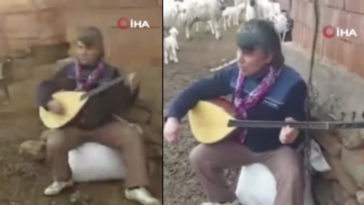 Görme engelli çiftçi bağlama çalıyor, koyunları eşlik ediyor