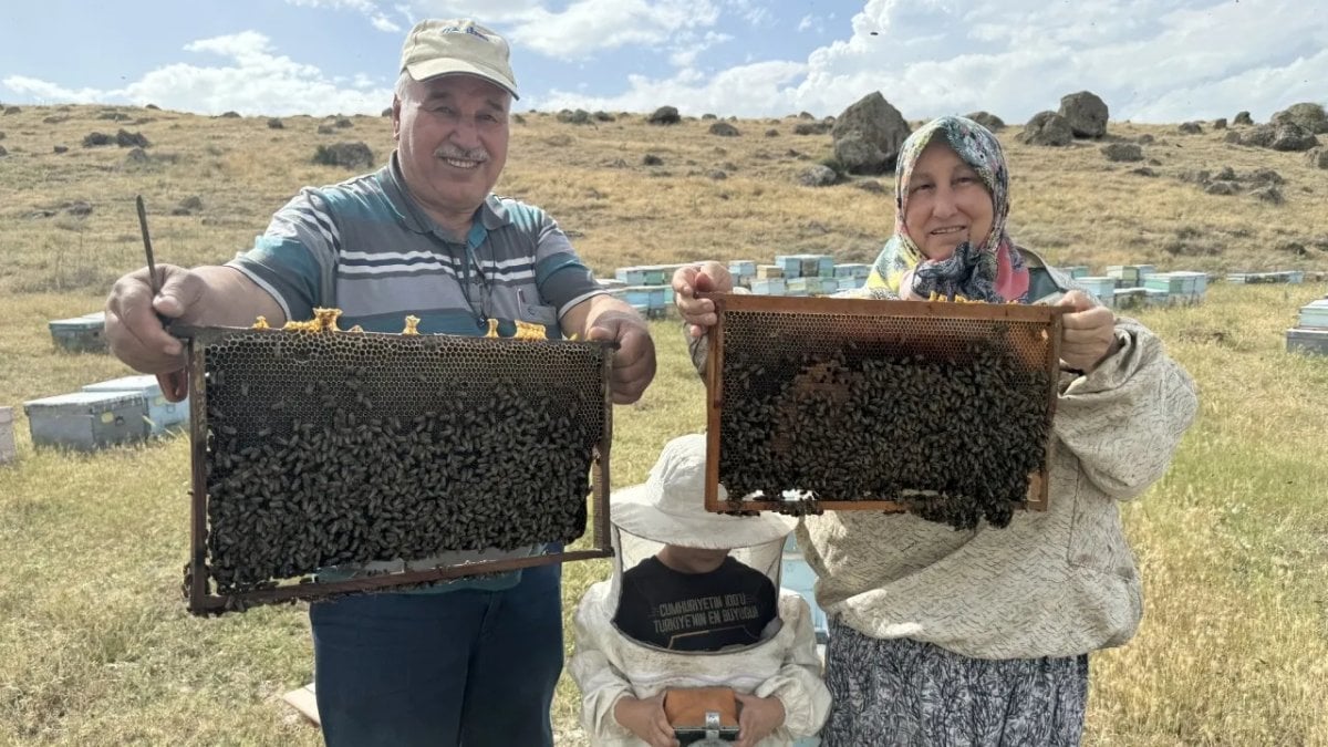 Karı-koca bir olup o işe girdi, 30 yıllık geçim kaynakları oldu! 66 yaşında arı gibi çalışıyor, rekoltesi bereketli oldu