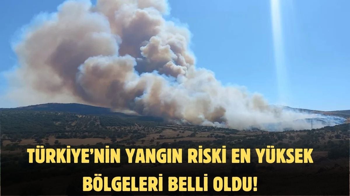 Ormana gitmeden önce bu haritaya bakın! Türkiye’nin yangın risk haritası: Orası en tehlikeli bölge çıktı