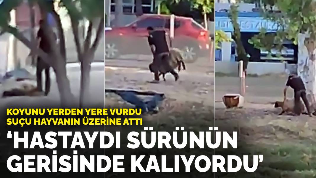 Koyunu yerden yere vurdu suçu hayvanın üzerine attı: Hastaydı, sürünün gerisinde kalıyordu