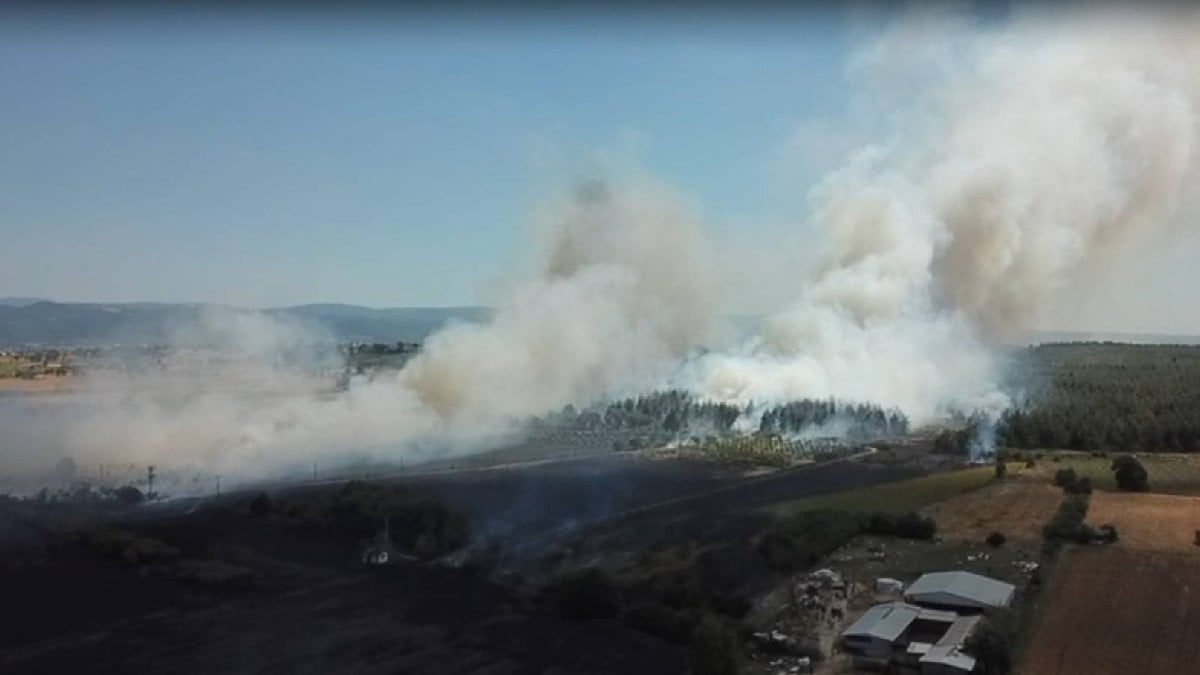 Bursa’da anız yangını: Uludağ Üniversitesi kampüsünün olduğu ormana sıçradı