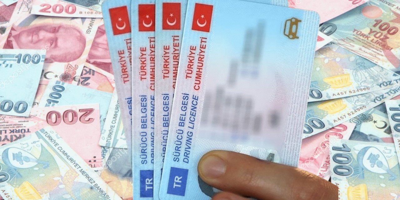 Kamuya kadın erkek B sınıfı sürücü ehliyetli personel alımı başlıyor