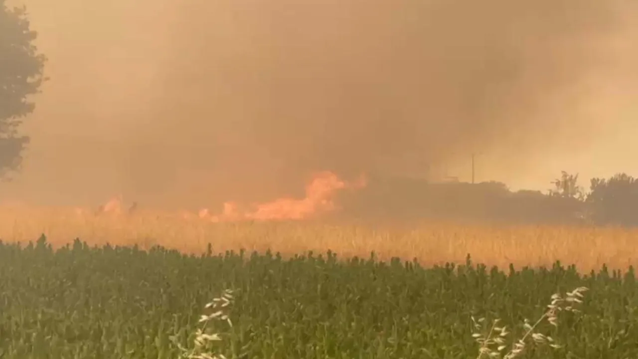 3 il için alarm! İzmir, Manisa ve Çanakkale’de orman yangını