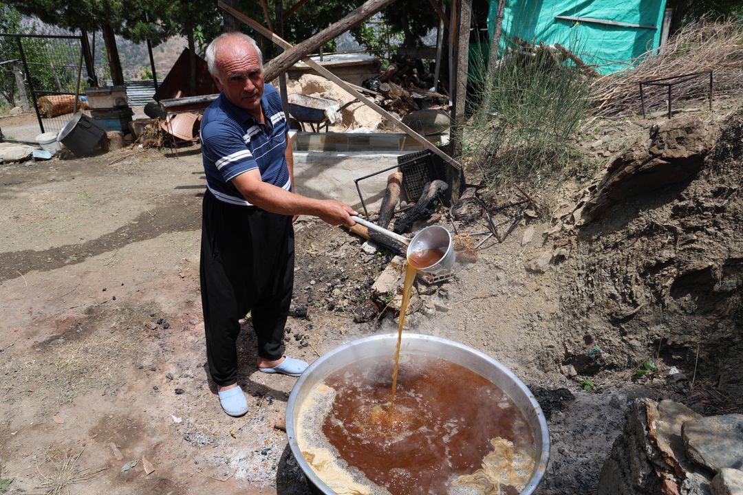 Adana Kozan'da dut pekmezi üretimi başladı