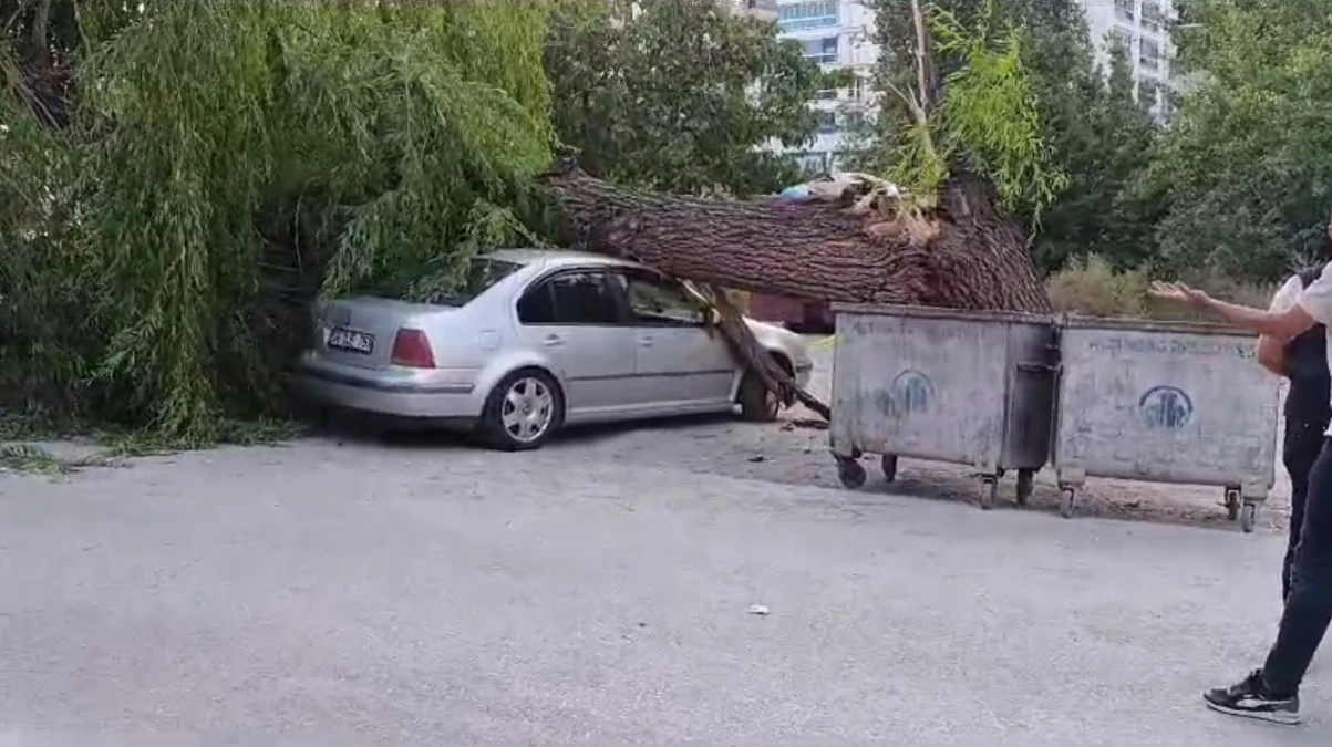 Ankara’da Rüzgarın Etkisiyle Devrilen Ağaç 4 Araçta Hasara Yol Açtı