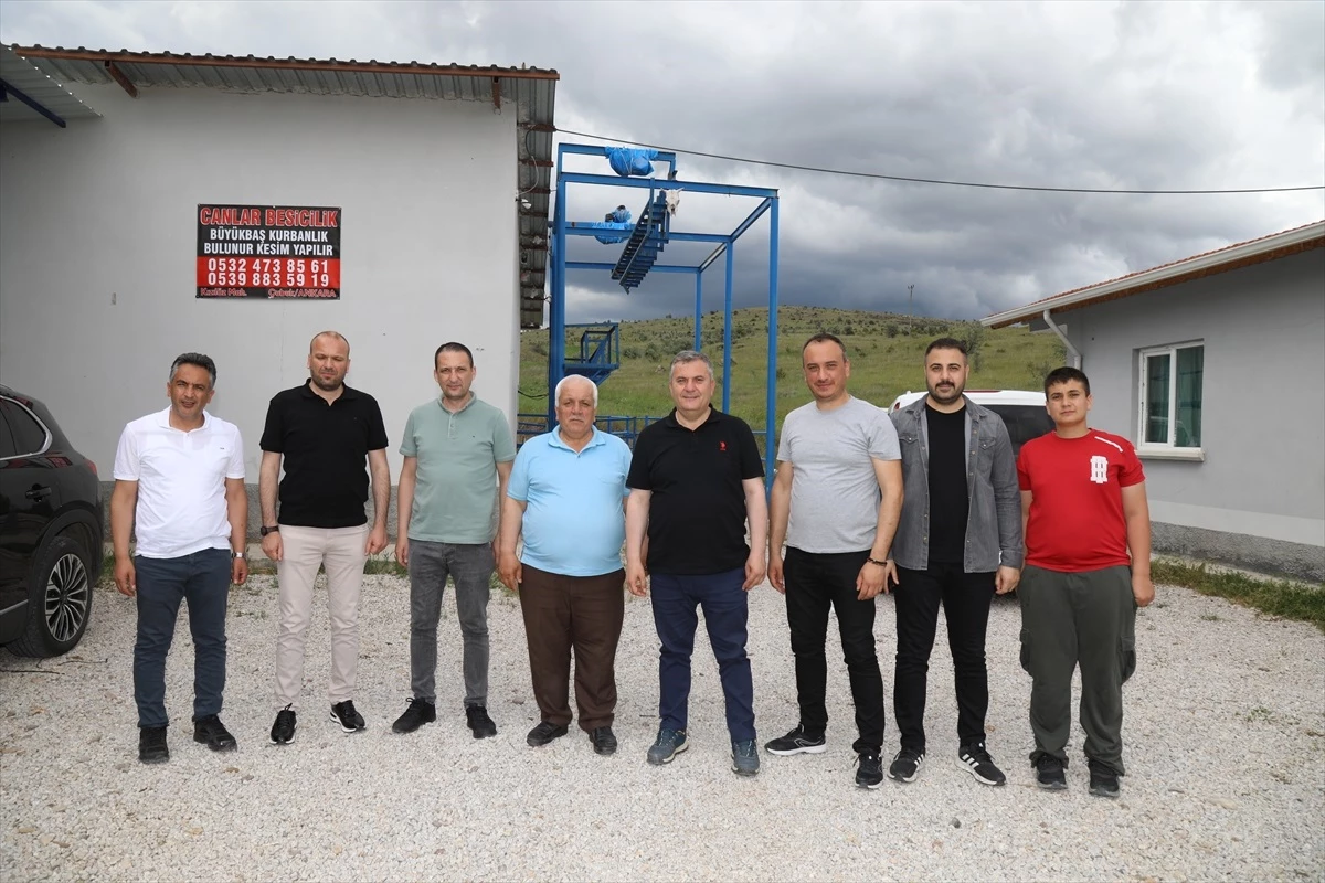 Ankara’nın Çubuk ilçesinde 123 besiciye kurbanlık kesimi için geçici ruhsat verildi