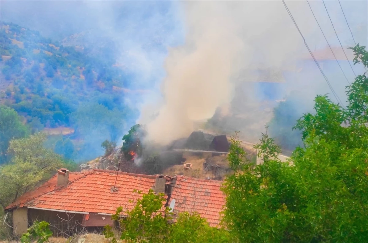 Ankara’nın Nallıhan ilçesinde samanlık ve değirmen yangını