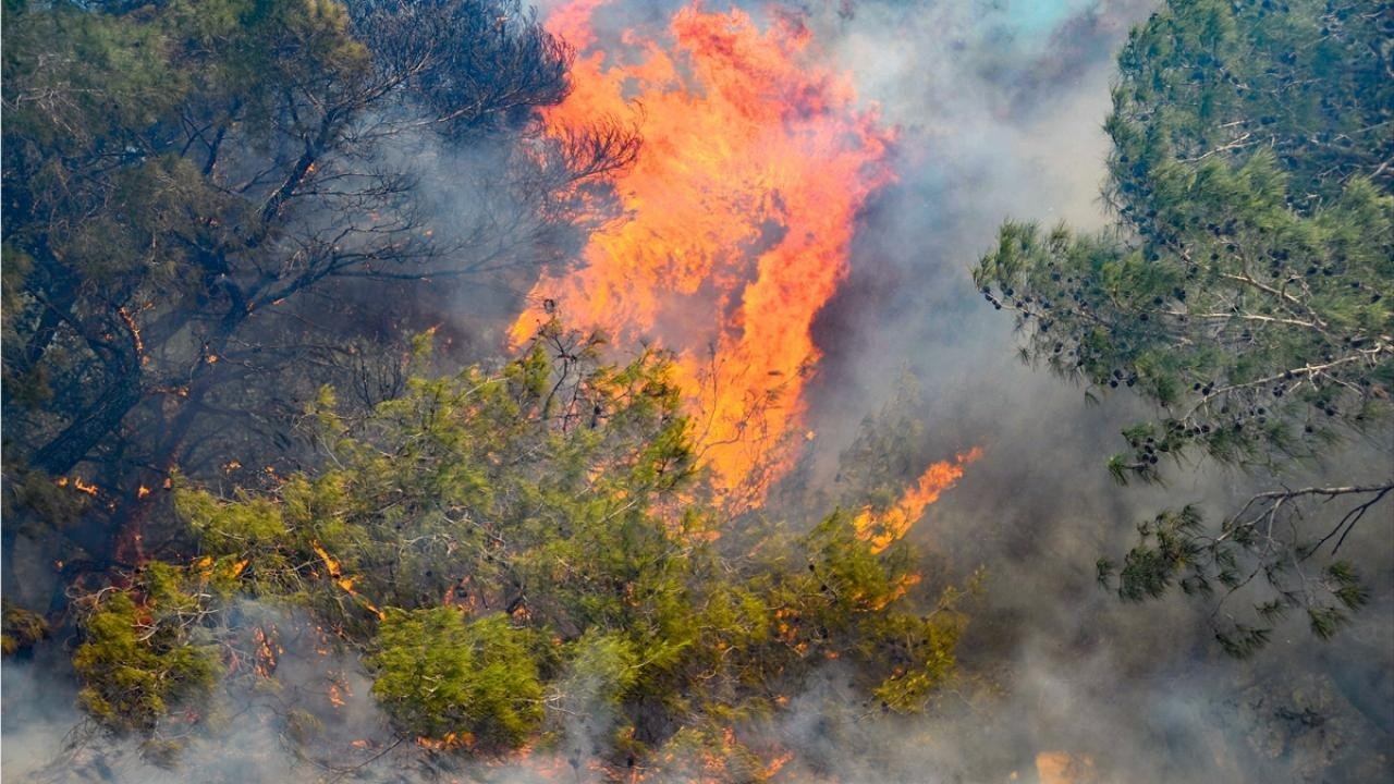 Antalya’da çıkan orman yangını söndürüldü