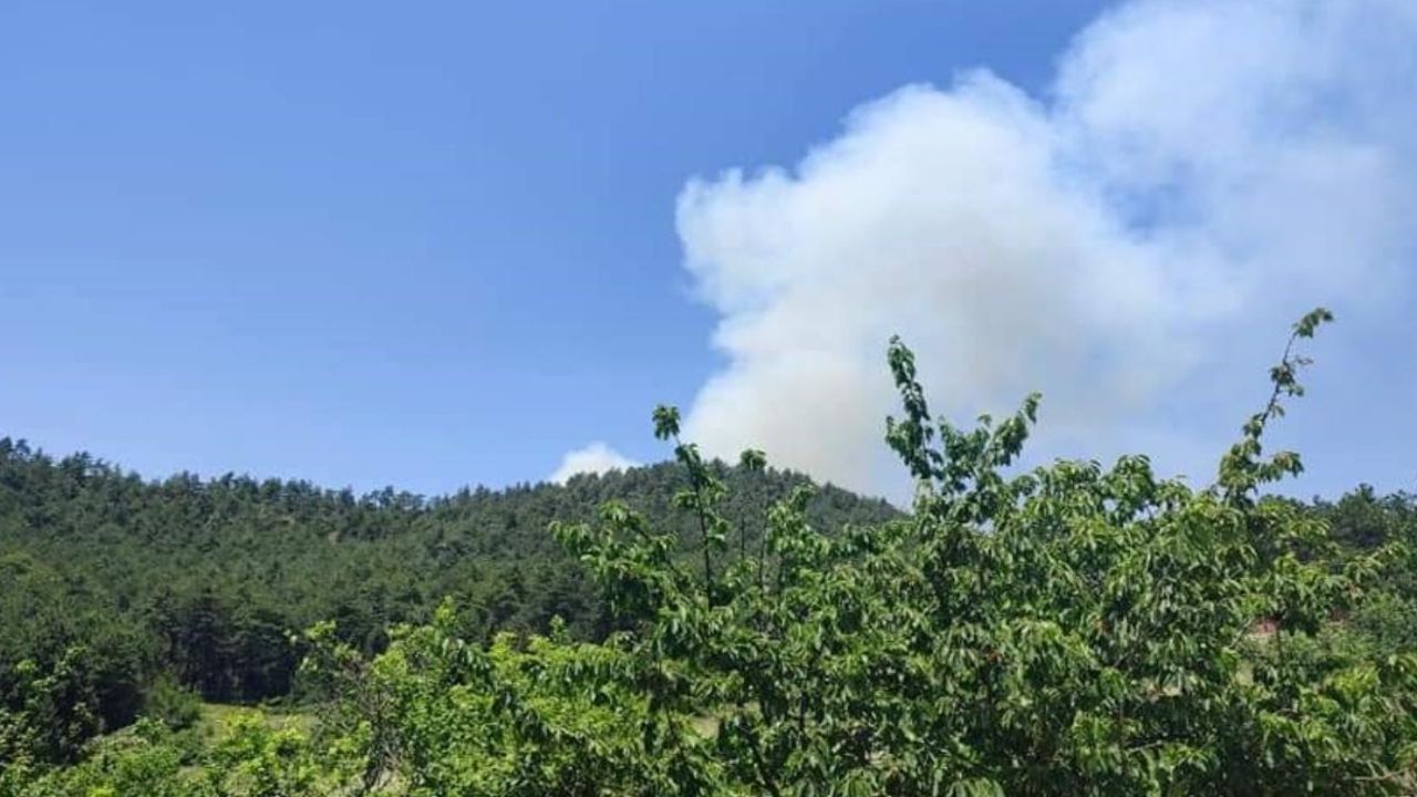 Balıkesir’de çıkan orman yangınında son durum