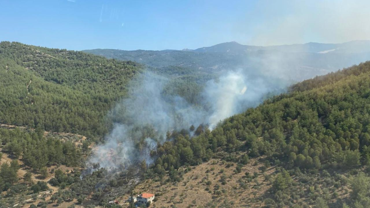 Muğla’nın Milas ilçesinde orman yangını çıktı