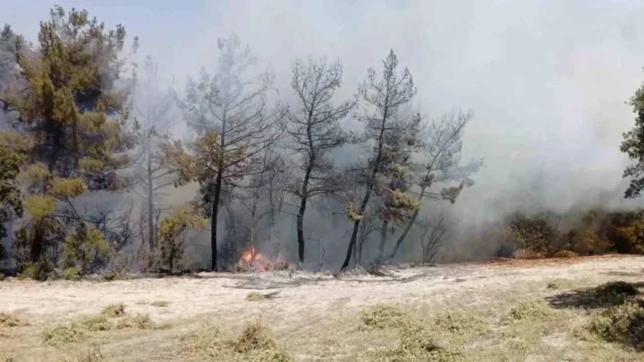 Denizli’nin Buldan ilçesinde orman yangını kontrol altına alınmaya çalışılıyor!