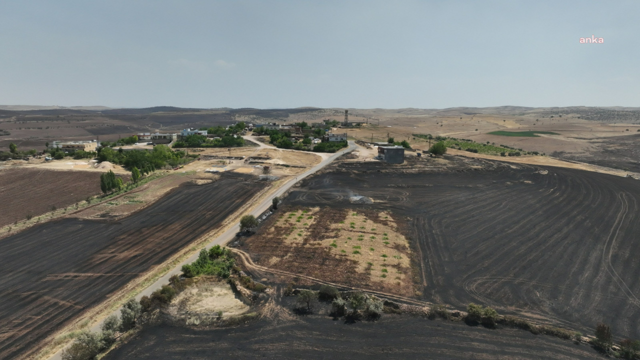 Diyarbakır-Mardin arasındaki yangın… Mardin Tabip Odası ön raporu açıkladı