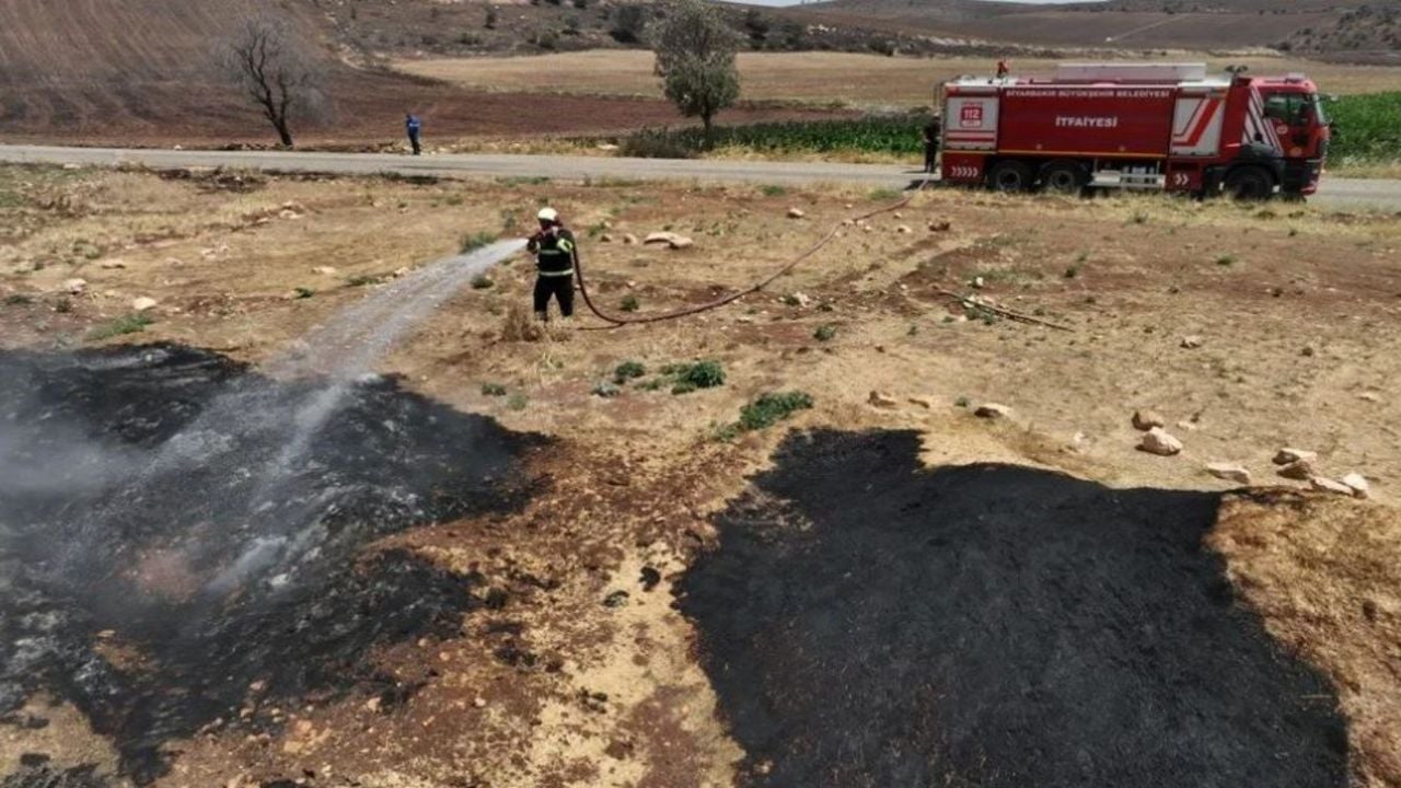 Diyarbakır-Mardin sınırındaki yangında yeni bilirkişi raporu: Yangın elektrik direği kaynaklı…