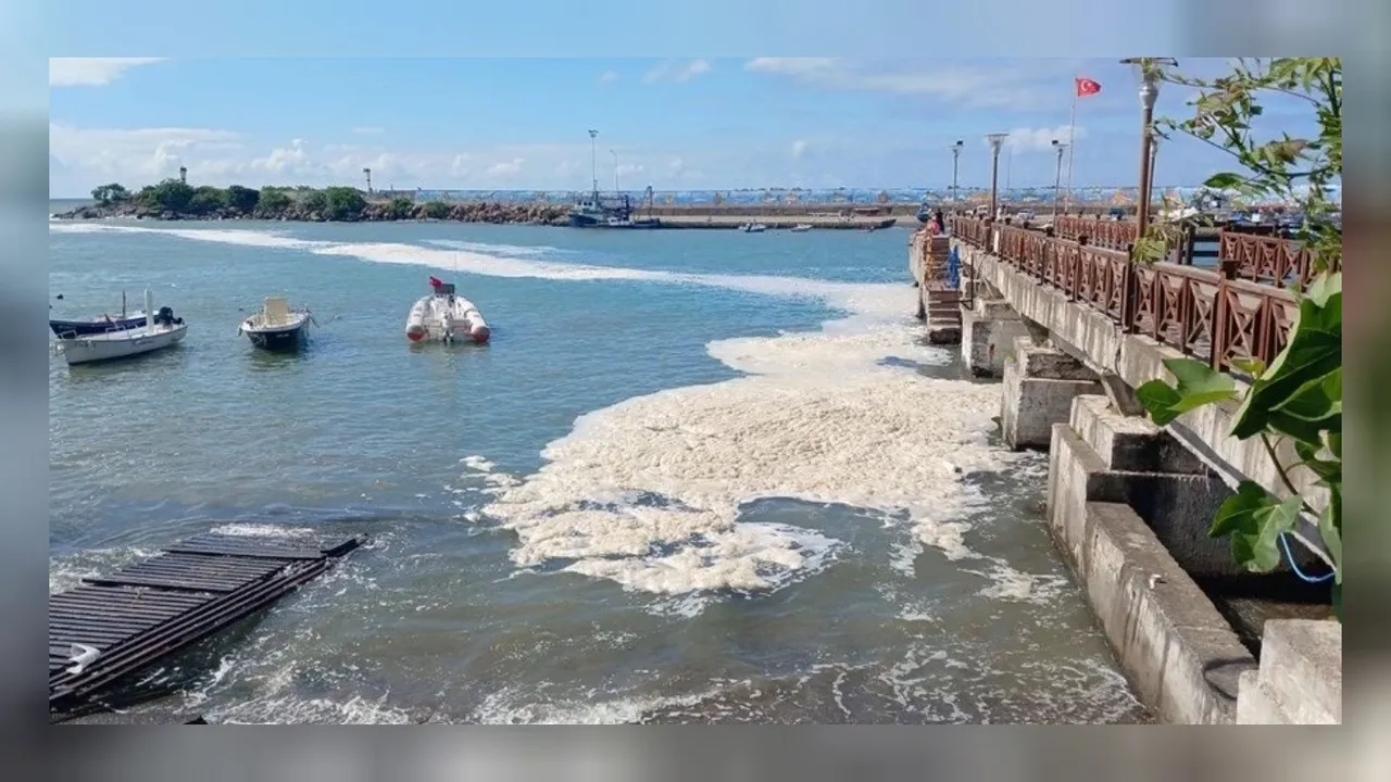 Düzce Valiliği’nden müsilaj açıklaması geldi: Numuneleri TÜBİTAK’a gönderdik