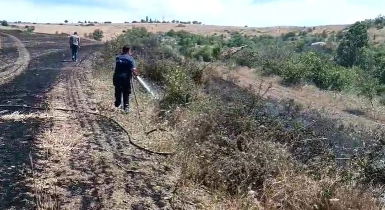 Ankara’nın Elmadağ ilçesinde ekili tarım arazisinde yangın çıktı