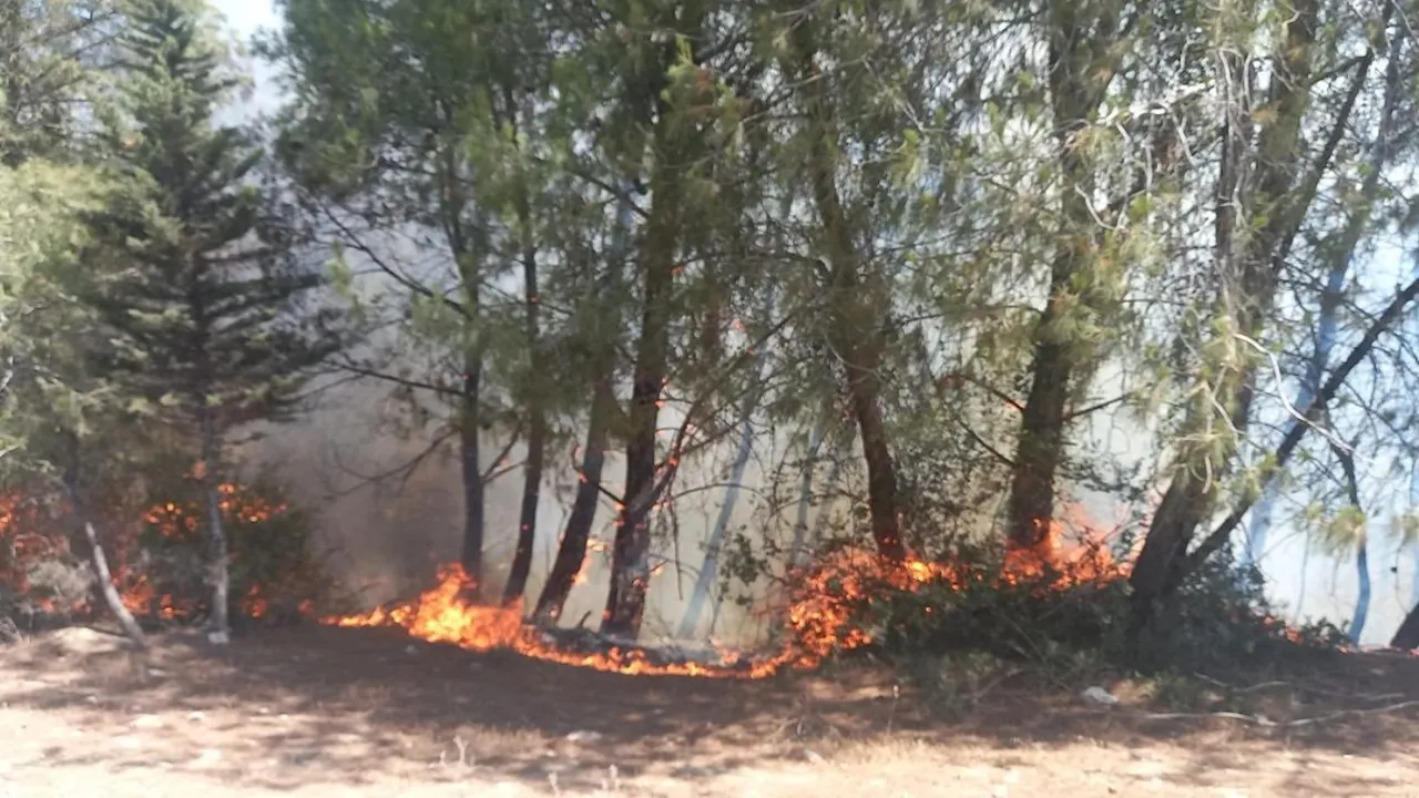 Feke’de orman yangını şoku! Havadan ve karadan müdahale ediliyor