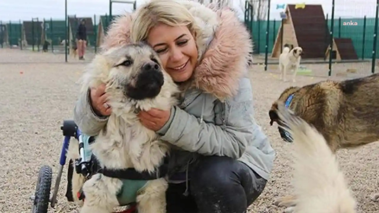 ‘Hasta köpekleri Ankara’ya taşıdı’ iddiası: ‘Köpekvelisi’ isimli hesabın sahibi Buket Özgünlü tahliye edildi