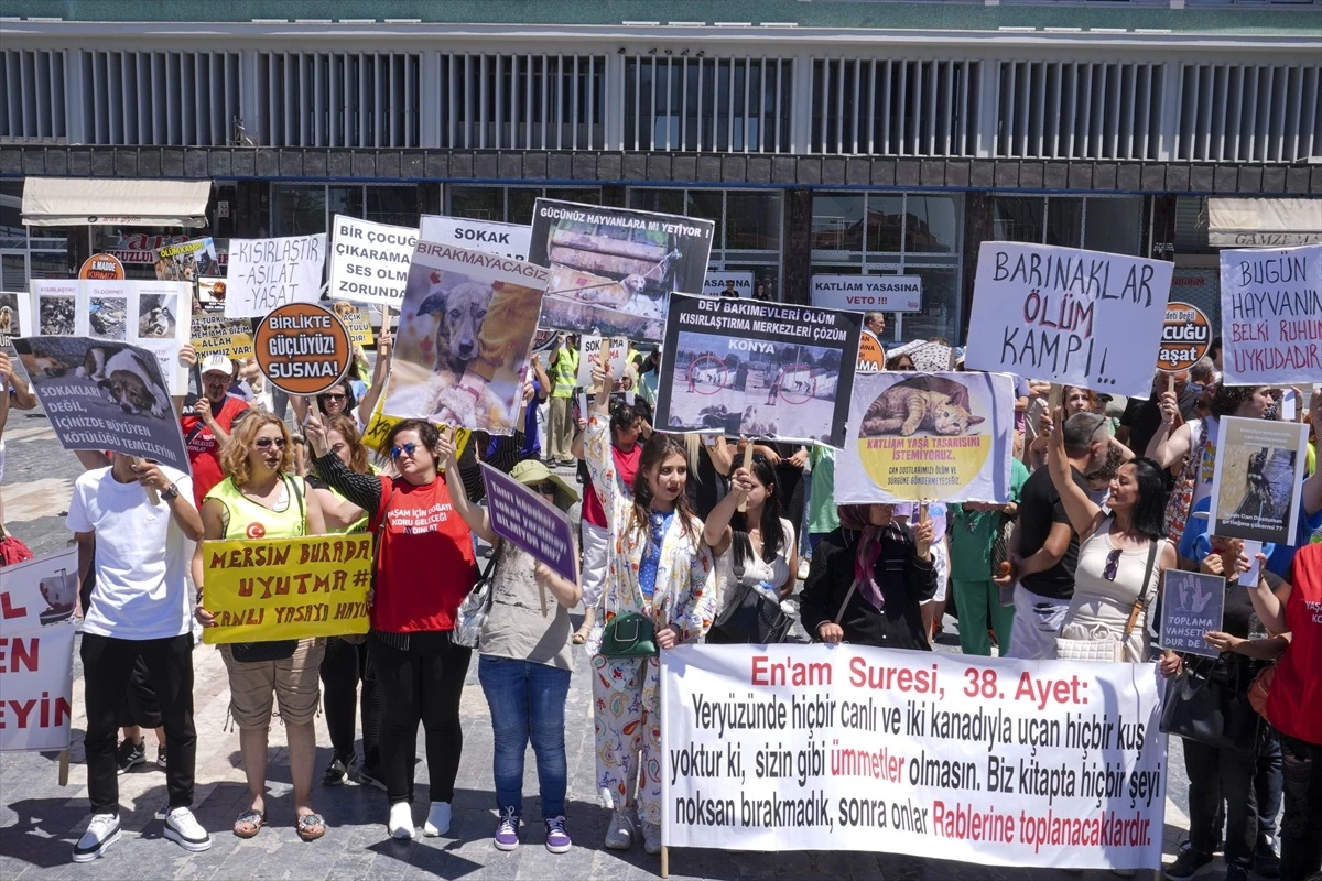 Ankara’da Hayvanseverler Sahipsiz Hayvanlara Yapılacak Düzenlemeyi Protesto Etti