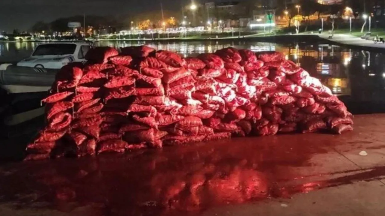 İstanbul’da kaçak midye operasyonu! 2 ton midye ele geçirildi…