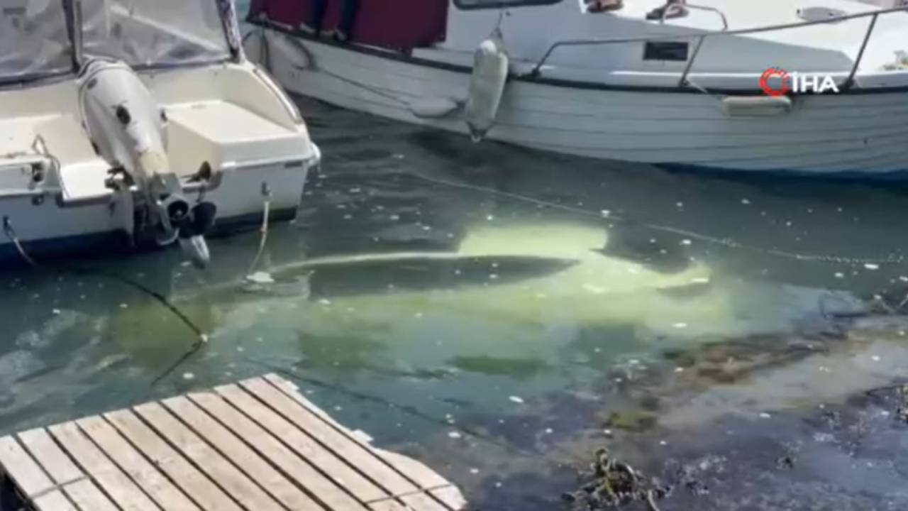 İstanbul’da yol kenarına park ettiği aracı deniz düştü