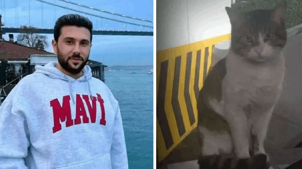 İstinaf kedi ”Eros”u öldüren İbrahim Keloğlan’ın cezasının artırılması istemini reddetti… ‘Eros bir kez daha öldü’