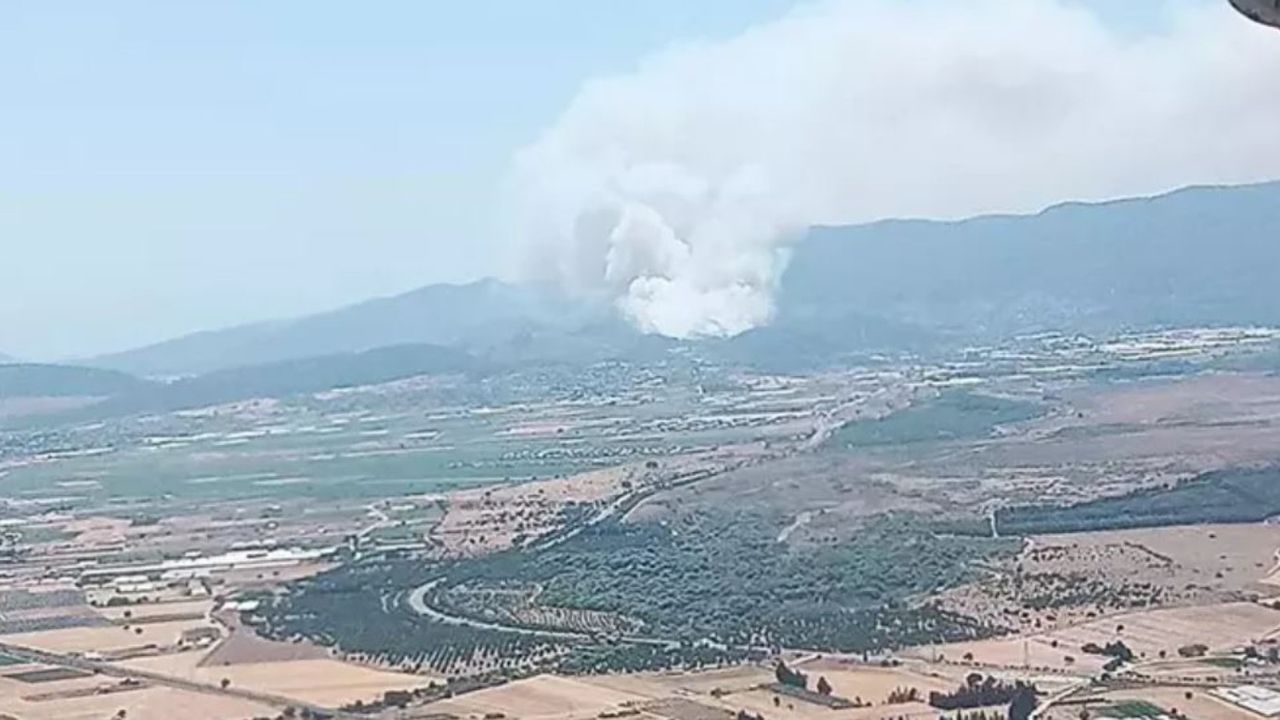 İzmir’de Menderes’te orman yangını! Alevler kontrol altına alınmaya çalışılıyor!
