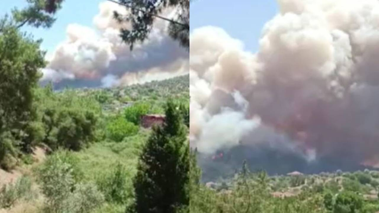 İzmir yanıyor! Menderes’in ardından Çeşme ve Selçuk’tan korkutan haber geldi