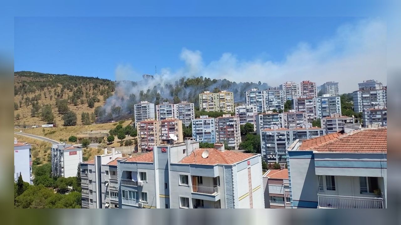 İzmir yanıyor: 3 ilçede yangına havadan ve karadan müdahale