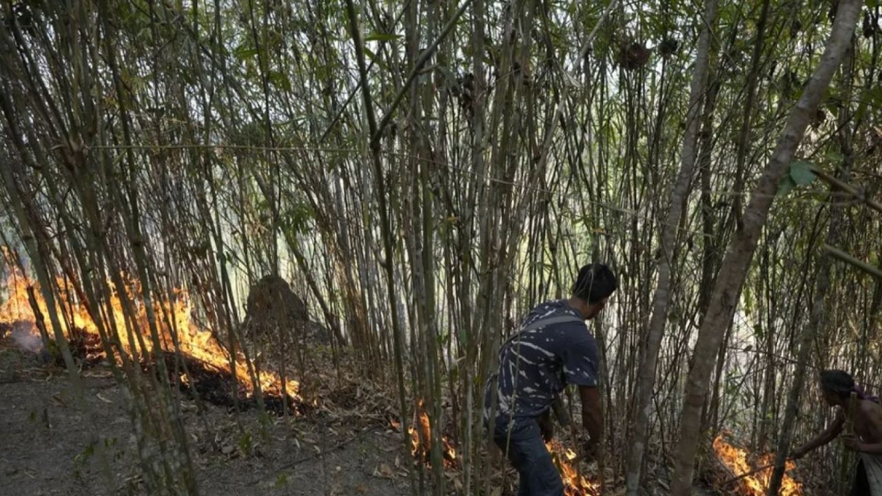 Orman yangınlarına karşı önlem! 42 ilde ormanlara giriş yasaklandı