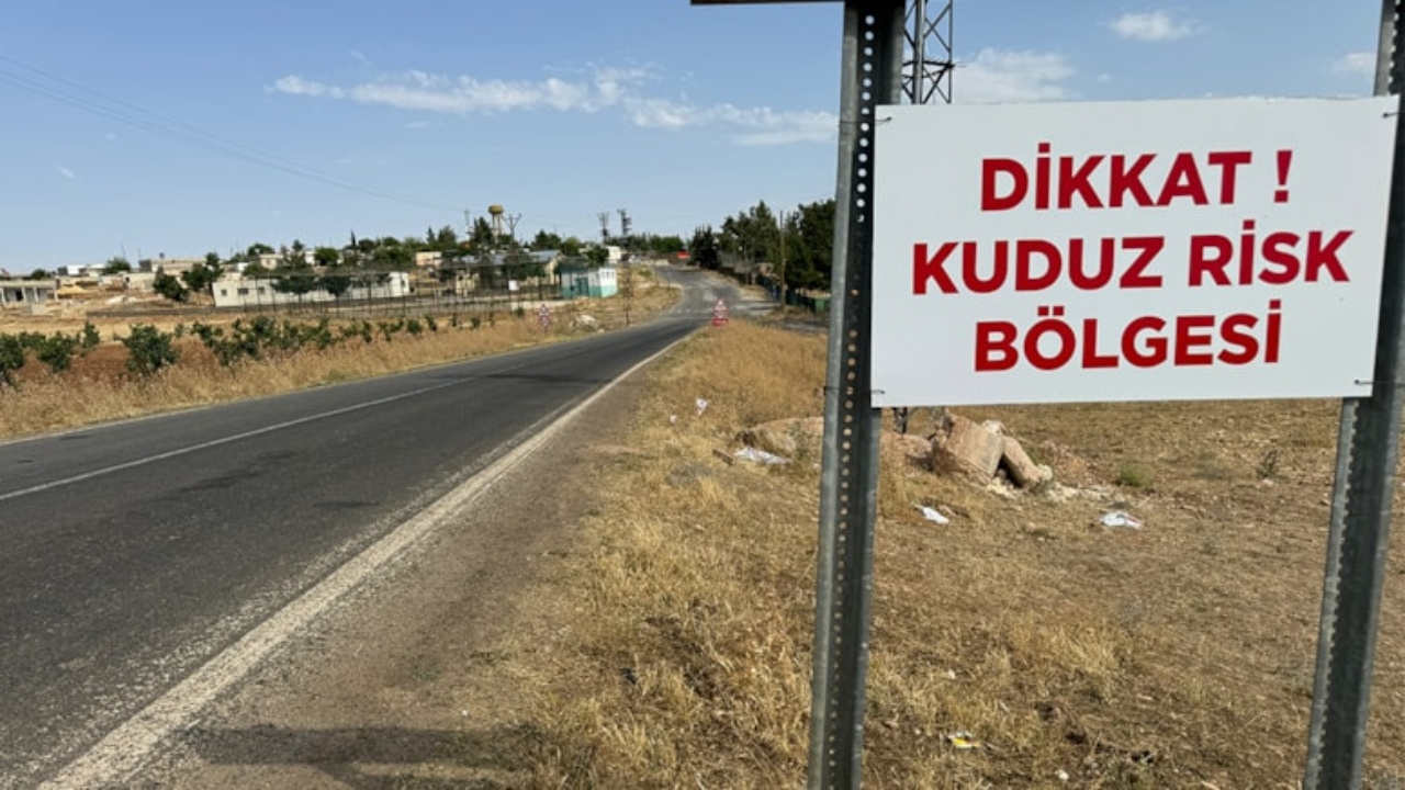 Şanlıurfa’da kuduz paniği: 2 mahalle karantinaya alındı