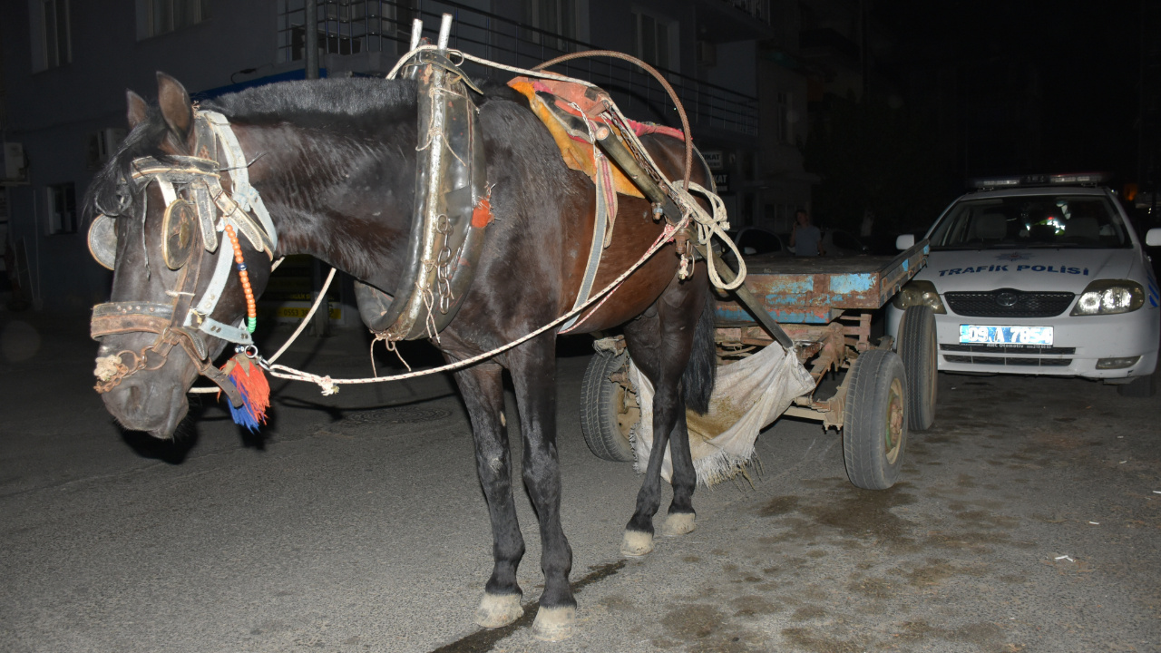 Trafikte alkollü at arabası kullanan kişiye para cezası