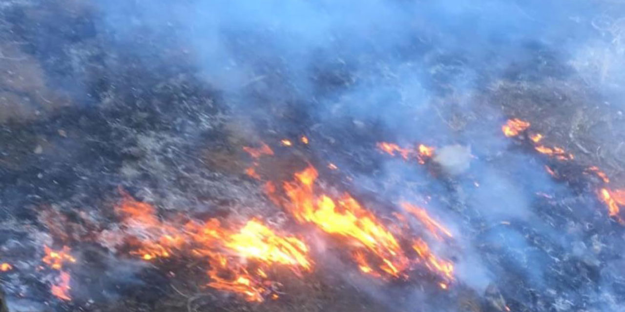 Gaziantep’te orman yangını korkuttu!