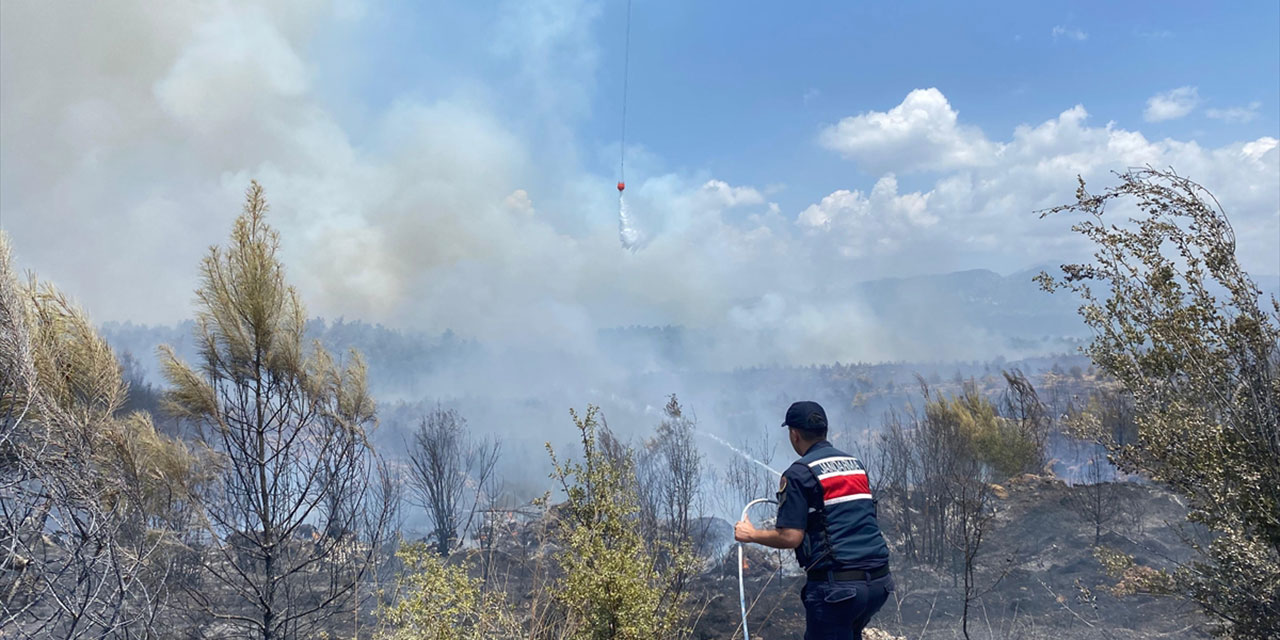 Antalya’da ormanlık alanda yangın!